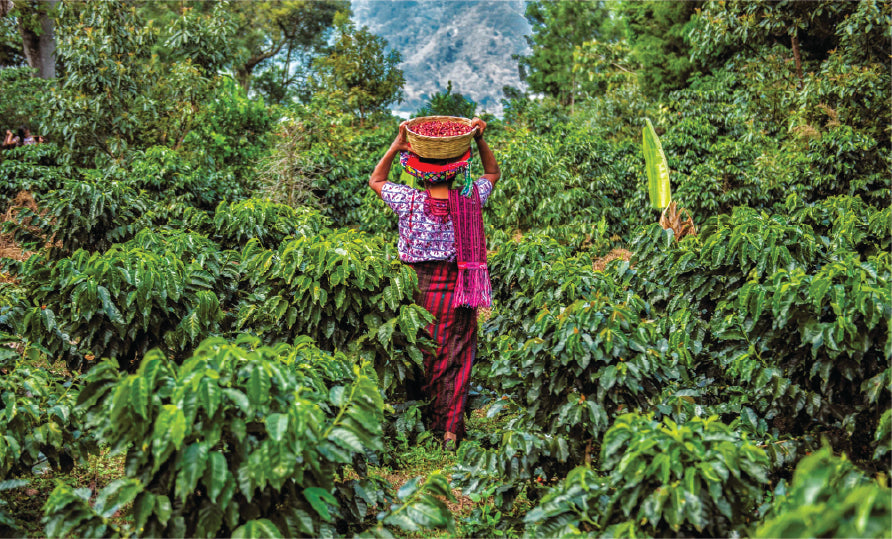 Joyabaj – Guatemala