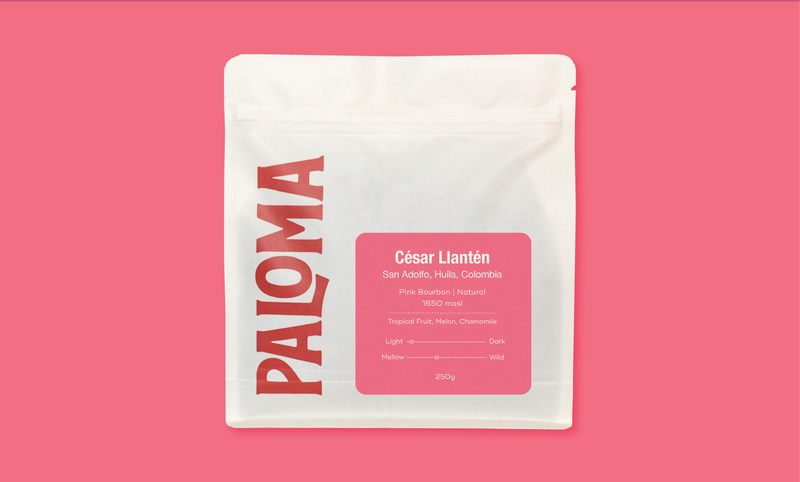 César Llantén Pink Bourbon - Colombia