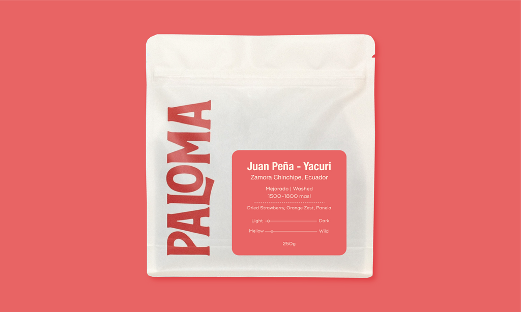 Juan Peña Yacuri - Ecuador