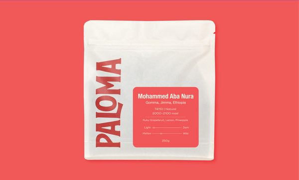 Mohammed Aba Nura -  Ethiopia