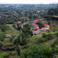 Nyeri Hill Peaberry – Kenya